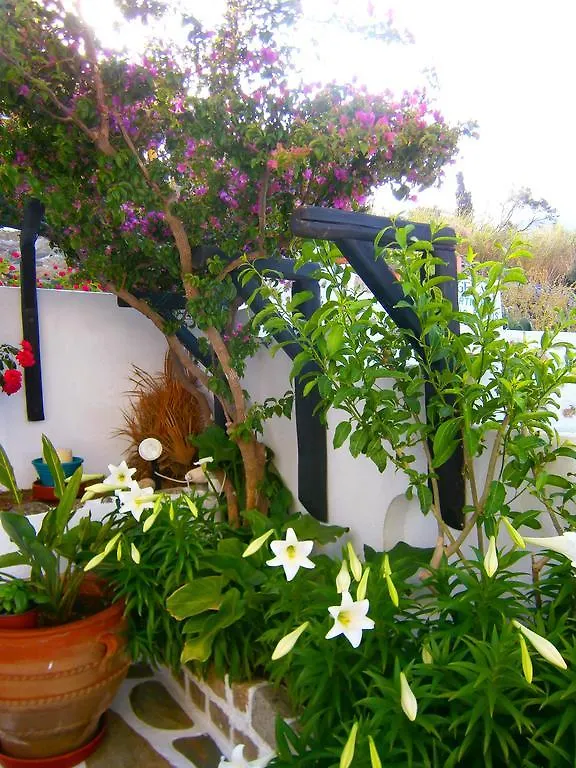 דירות Mykonos Town Anchor Αpartments