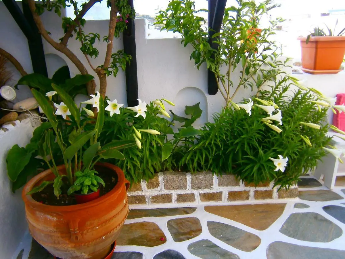 דירות Mykonos Town Anchor Αpartments
